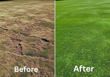Load image into Gallery viewer, Lawn Genie Grub Control Treatment