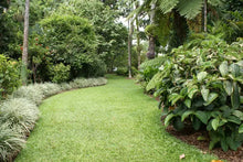 Load image into Gallery viewer, Lawn Genie Grub Control Treatment