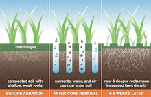 Load image into Gallery viewer, Lawn Genie Lawn Aeration Service