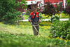 Lawn Genie Lawn Aeration Service
